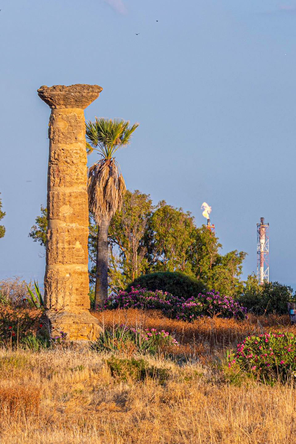 Gela - Colonna Dorica