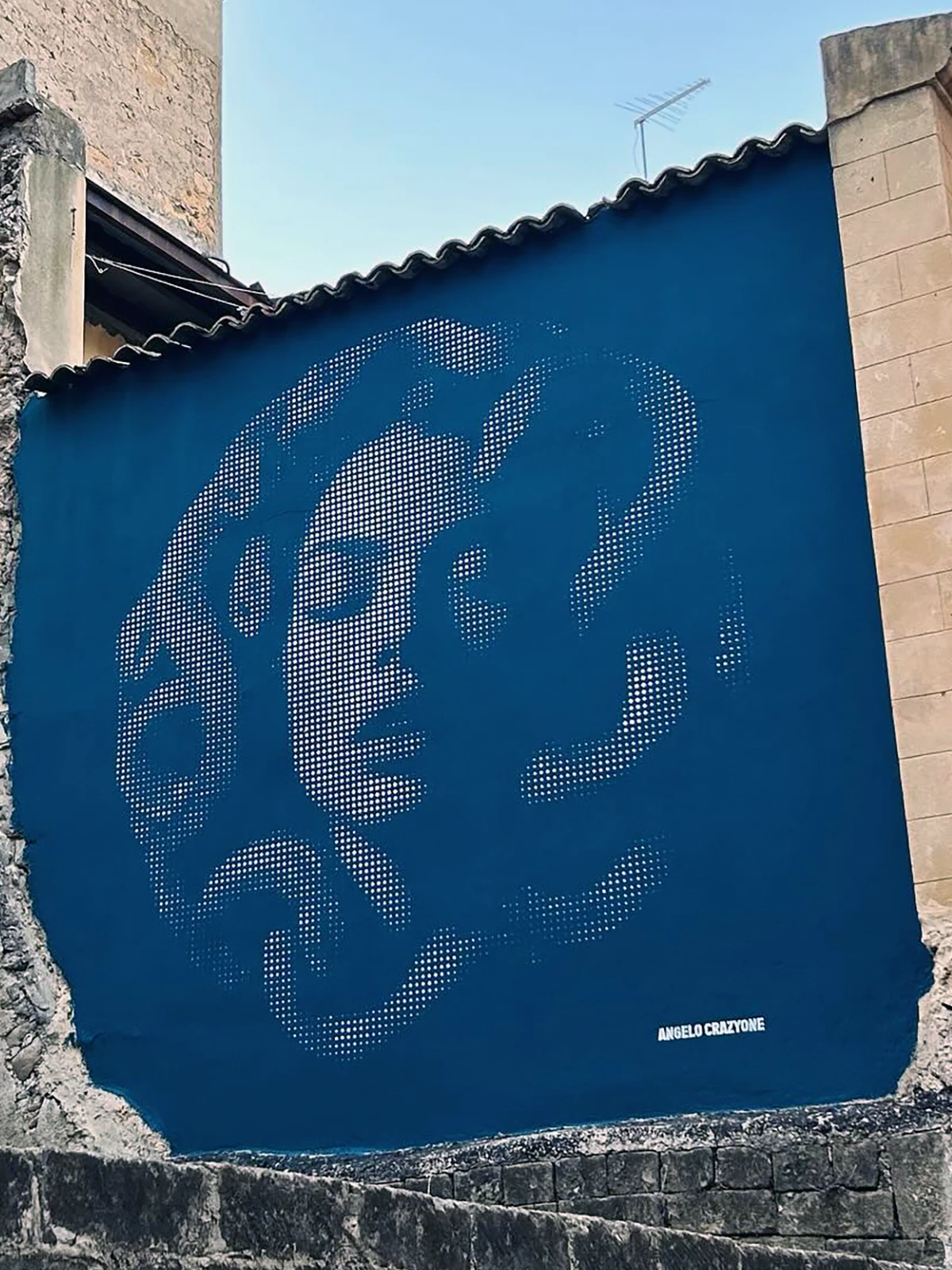 Medusa